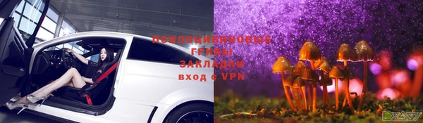 крисы Гусиноозёрск
