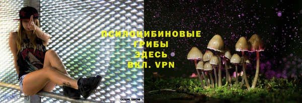 крисы Гусиноозёрск