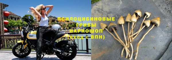 крисы Гусиноозёрск
